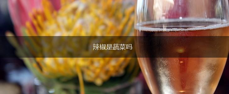 辣椒是蔬菜吗,第1张