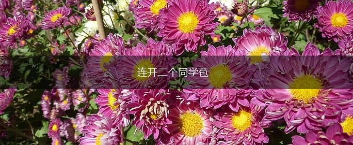 连开二个同学苞,第1张