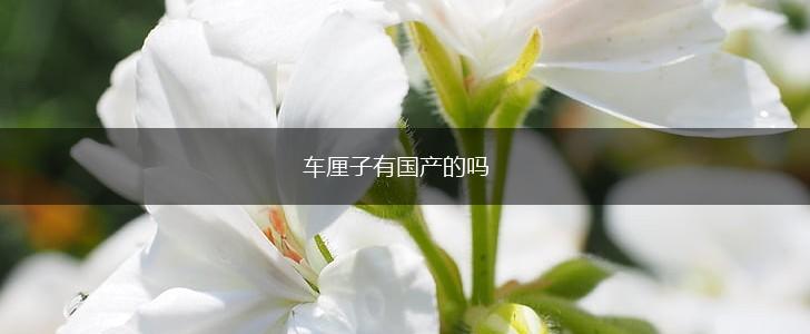 车厘子有国产的吗,第1张