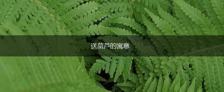 送葫芦的寓意,第1张