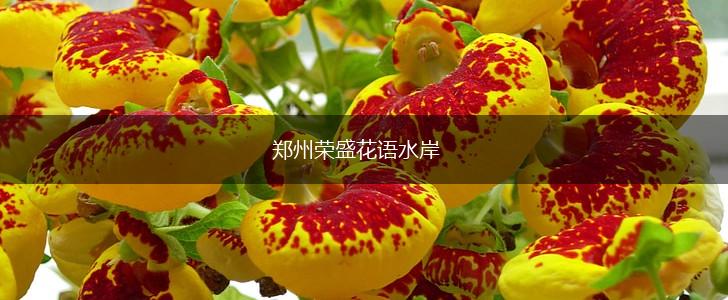 郑州荣盛花语水岸,第1张