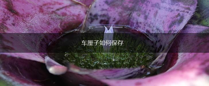 车厘子如何保存,第1张