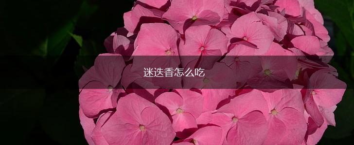 迷迭香怎么吃,第1张