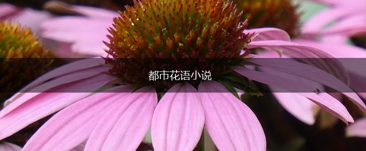都市花语小说,第1张