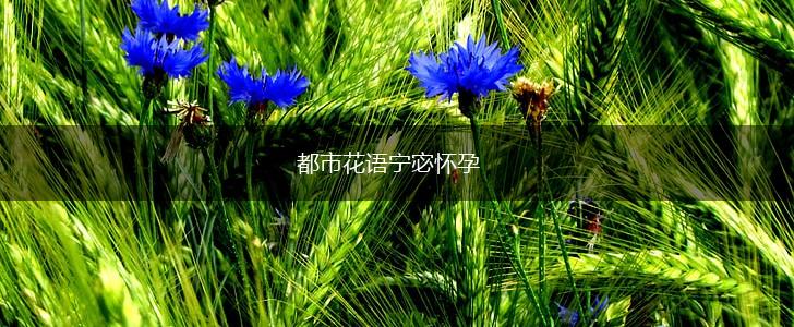 都市花语宁宓怀孕,第1张 都市花语宁宓怀孕,第1张