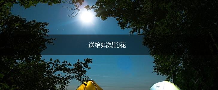 送给妈妈的花,第1张 送给妈妈的花,第1张