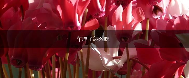 车厘子怎么吃,第1张