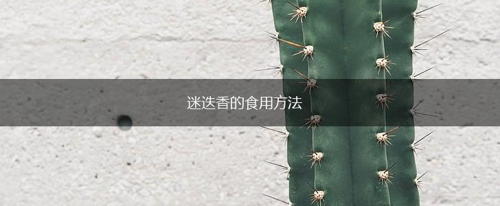 迷迭香的食用方法,第1张