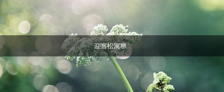 迎客松寓意,第1张