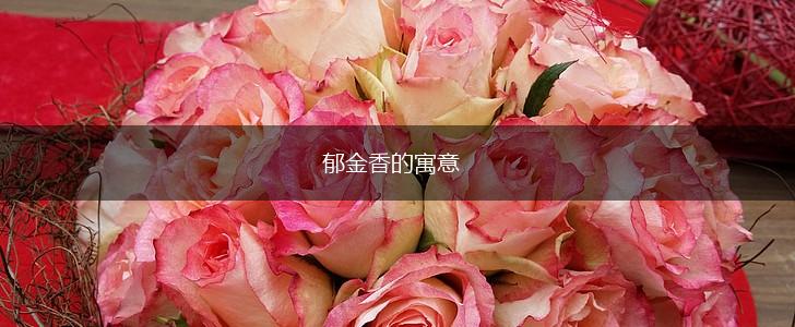 郁金香的寓意,第1张 郁金香的寓意,第1张