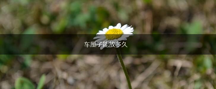 车厘子能放多久,第1张