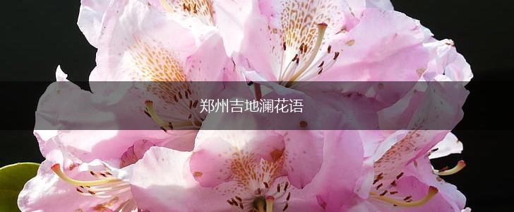 郑州吉地澜花语,第1张