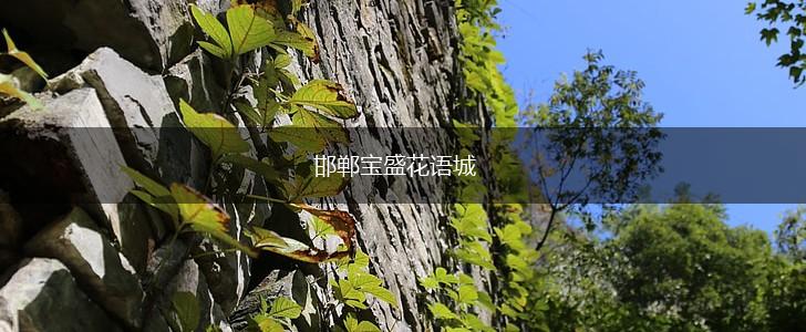 邯郸宝盛花语城,第1张