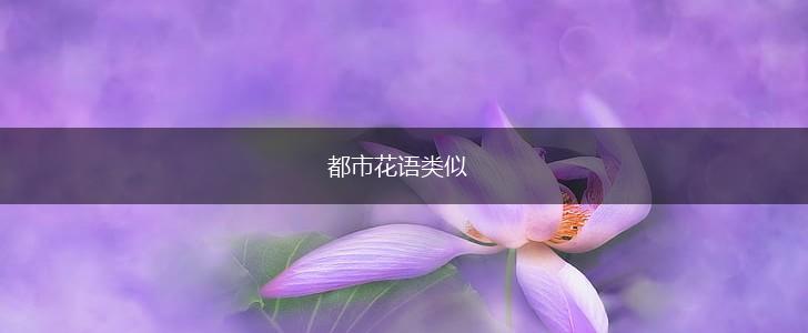 都市花语类似,第1张 都市花语类似,第1张