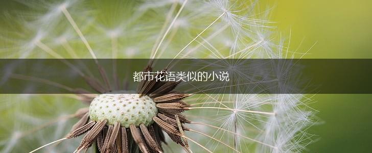 都市花语类似的小说,第1张 都市花语类似的小说,第1张