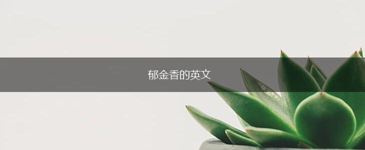 郁金香的英文,第1张