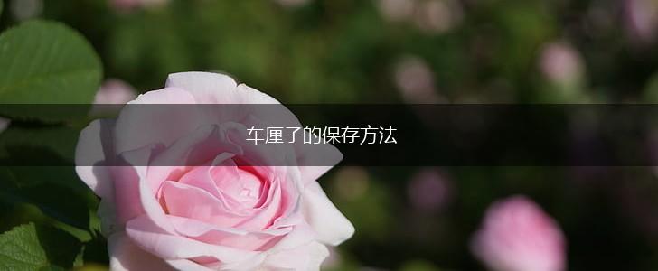 车厘子的保存方法,第1张 车厘子的保存方法,第1张