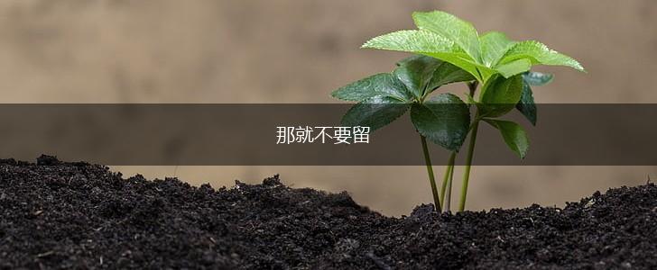 那就不要留,第1张 那就不要留,第1张