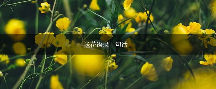 送花语录一句话,第1张