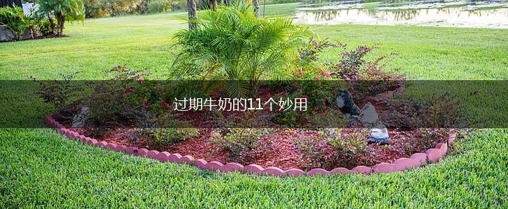 过期牛奶的11个妙用,第1张