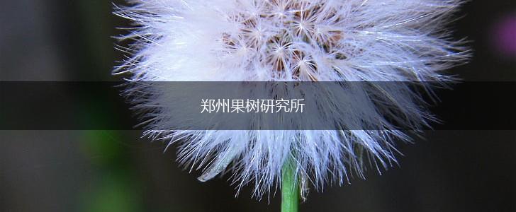 郑州果树研究所,第1张 郑州果树研究所,第1张