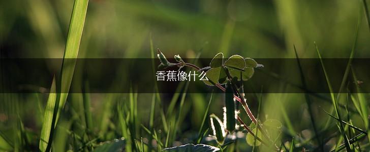 香蕉像什么,第1张
