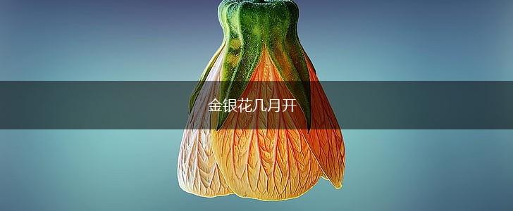 金银花几月开,第1张