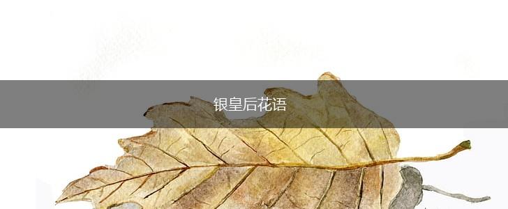 银皇后花语,第1张