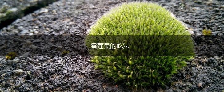 雪莲果的吃法,第1张