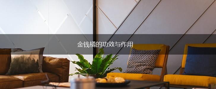 金钱橘的功效与作用,第1张