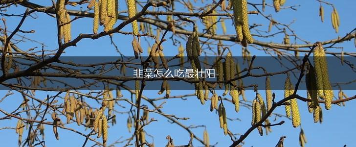 韭菜怎么吃最壮阳,第1张