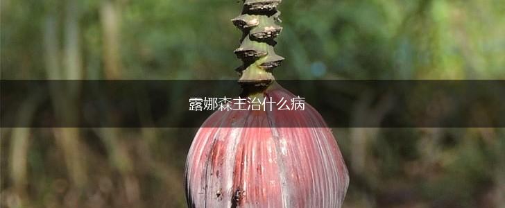 露娜森主治什么病,第1张
