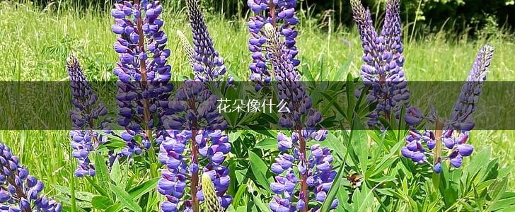 花朵像什么,第1张