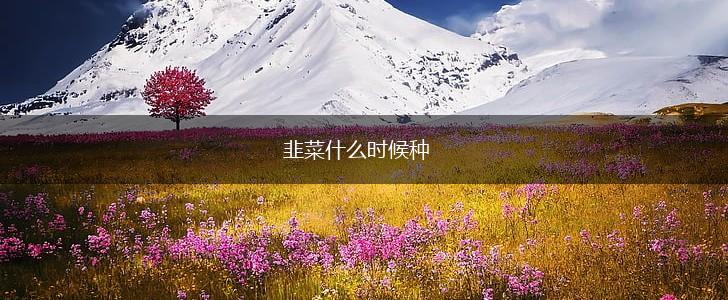 韭菜什么时候种,第1张
