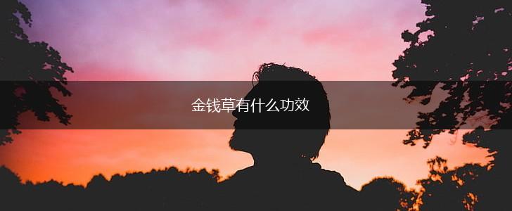 金钱草有什么功效,第1张