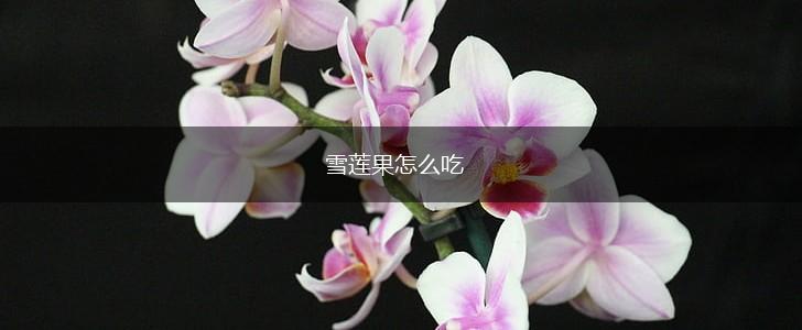 雪莲果怎么吃,第1张