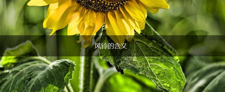 风铃的含义,第1张