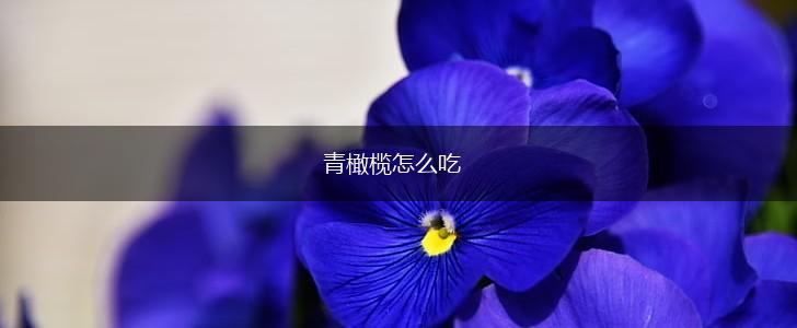 青橄榄怎么吃,第1张