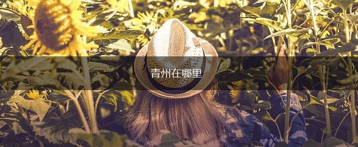 青州在哪里,第1张