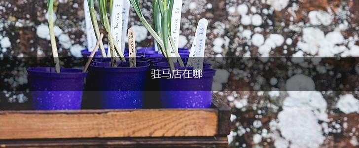 驻马店在哪,第1张