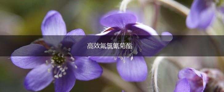高效氟氯氰菊酯,第1张