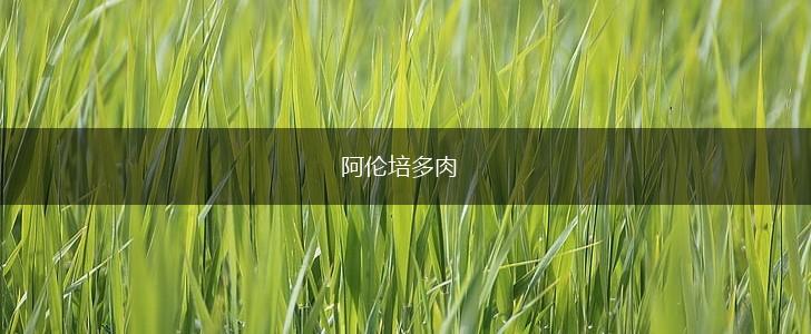 阿伦培多肉,第1张