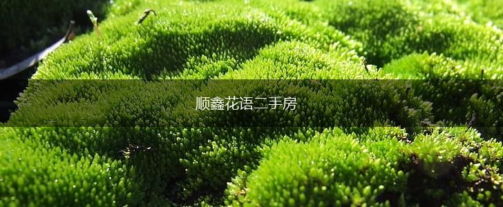 顺鑫花语二手房,第1张