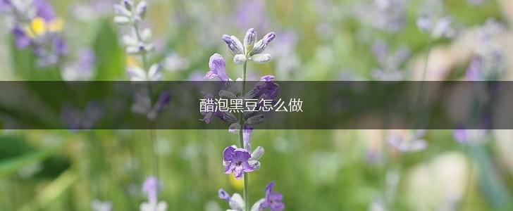 醋泡黑豆怎么做,第1张