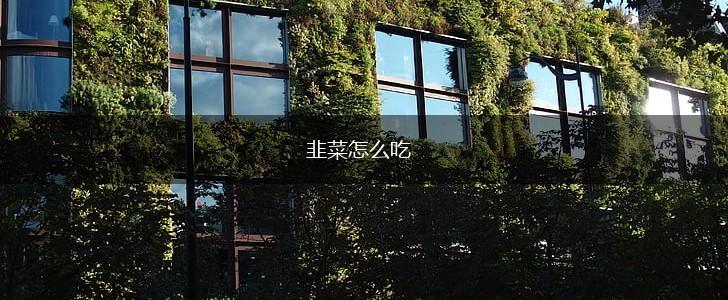 韭菜怎么吃,第1张