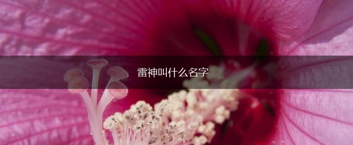 雷神叫什么名字,第1张