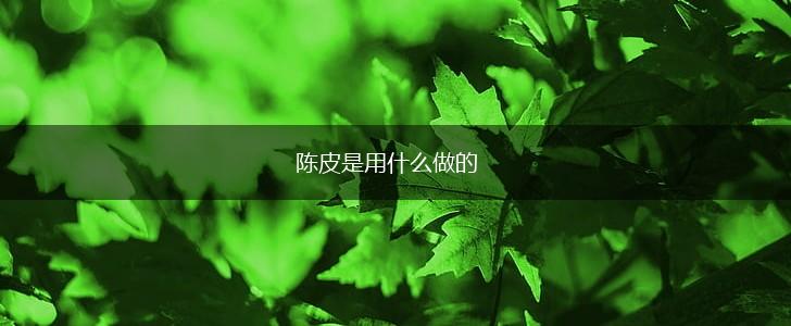 陈皮是用什么做的,第1张