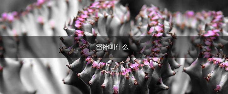 雷神叫什么,第1张