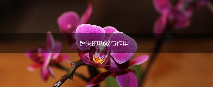 钙果的功效与作用,第1张
