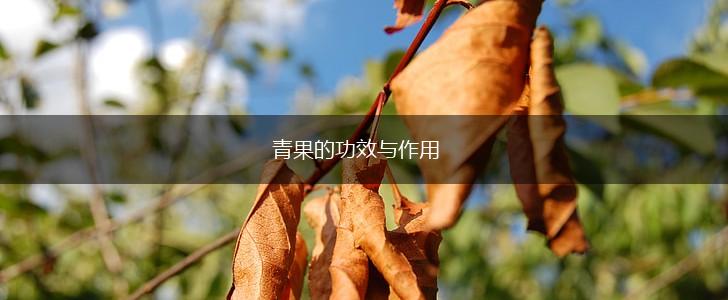 青果的功效与作用,第1张